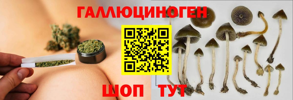 Псилоцибиновые грибы ЛСД  Вход с VPN  Котельники 